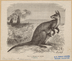 Image ID 822964