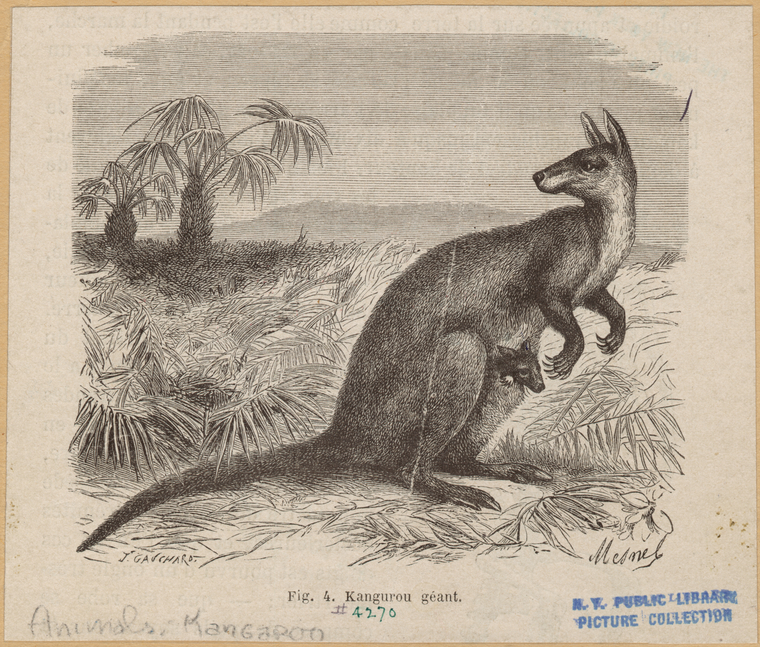 Image ID 822964
