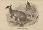 Image ID 822965