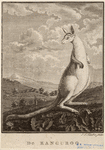 Image ID 822968
