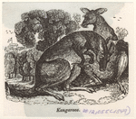 Image ID 822970