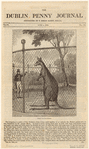 Image ID 822973
