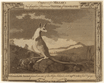 Image ID 822974