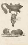 Image ID 822980