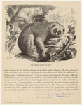 Image ID 822982