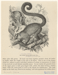 Image ID 822983