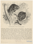 Image ID 822984