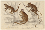 Image ID 822985