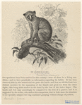 Image ID 822986