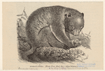 Image ID 822987