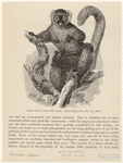 Image ID 822988