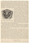 Image ID 822989