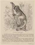 Image ID 822990