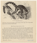 Image ID 822992
