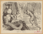 Image ID 822993