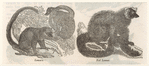 Image ID 822994
