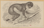 Image ID 822996