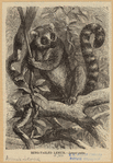 Image ID 822998