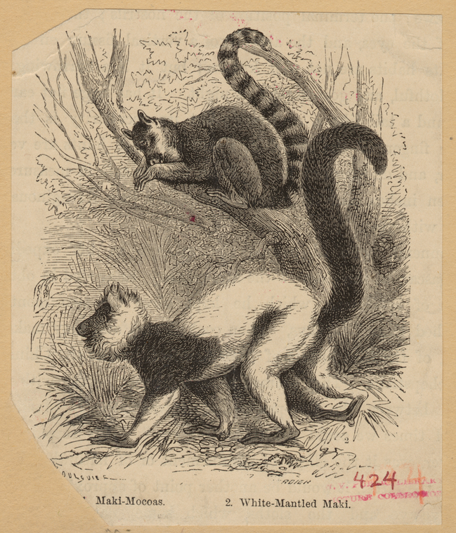 Image ID 822999
