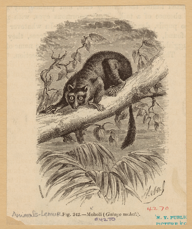 Image ID 823000
