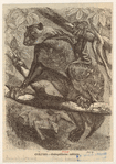 Image ID 823001