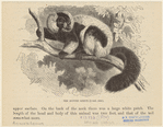 Image ID 823004