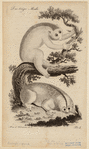 Image ID 823005