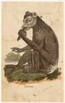 Image ID 823006