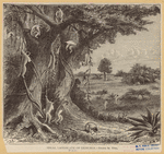 Image ID 823007