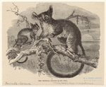 Image ID 823008