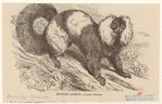 Image ID 823009