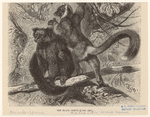 Image ID 823010