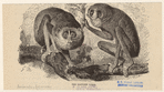 Image ID 823011