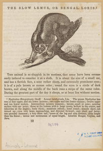 Image ID 823012