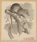 Image ID 823013