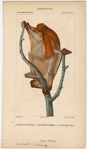 Image ID 823014