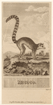 Image ID 823015