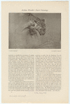 Image ID 823023