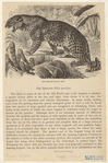 Image ID 823024