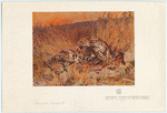 Image ID 823026