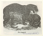 Image ID 823027
