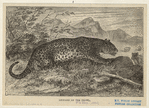 Image ID 823028