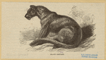 Image ID 823029