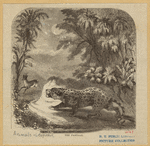 Image ID 823030