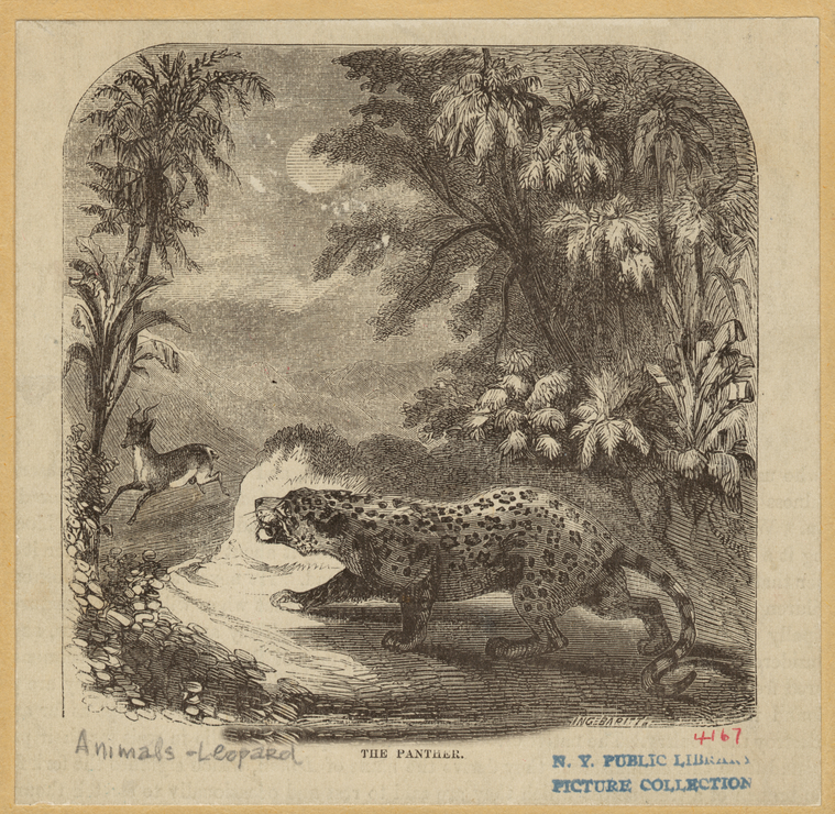 Image ID 823030
