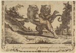 Image ID 823032