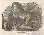Image ID 823034