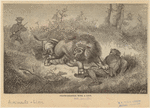 Image ID 823035
