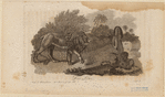 Image ID 823039