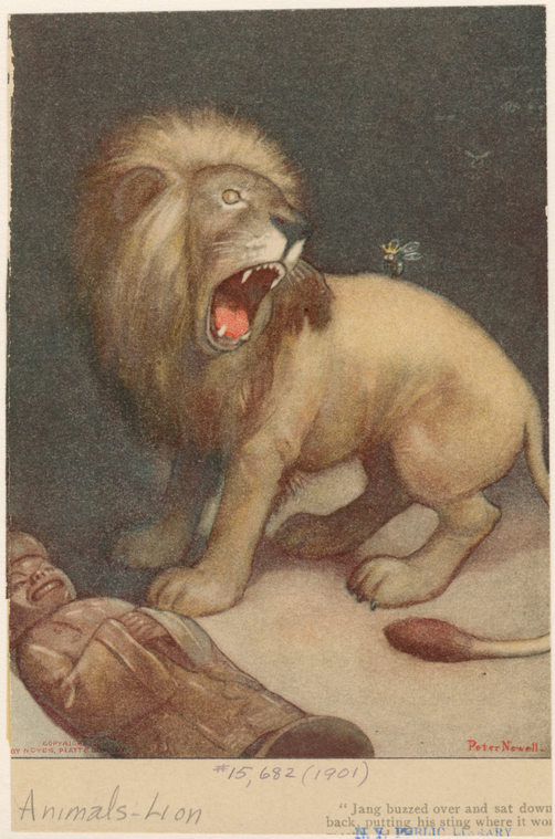 Image ID 823047
